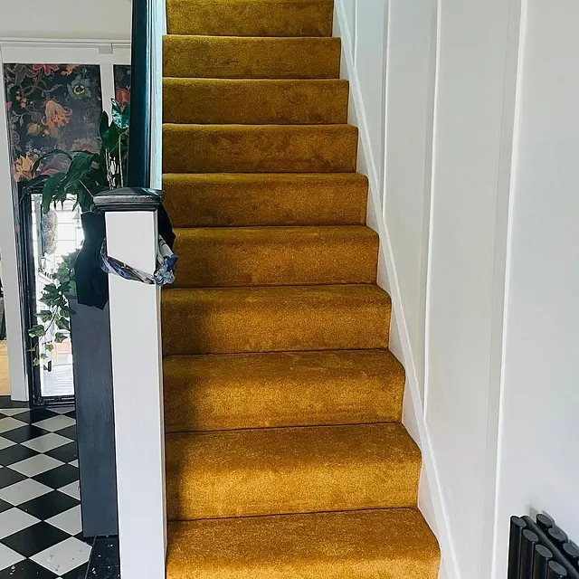 Valentine carpet a hard wearing stain resistant soft touch carpet